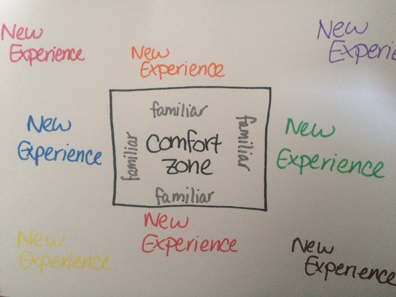 Why your comfort zone is the most dangerous place to be